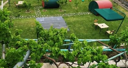 Nataly guest house,Nataly campsite