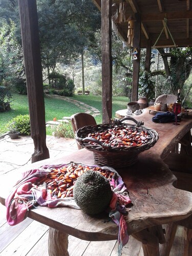 Cambará Eco Refuge. Country House Bom Retiro SC  