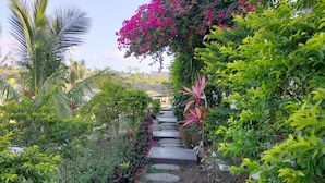 Comfort Double Room, Non Smoking, Pool View | Terrace/patio - Nadi Fancy Hotel (Nadi)
