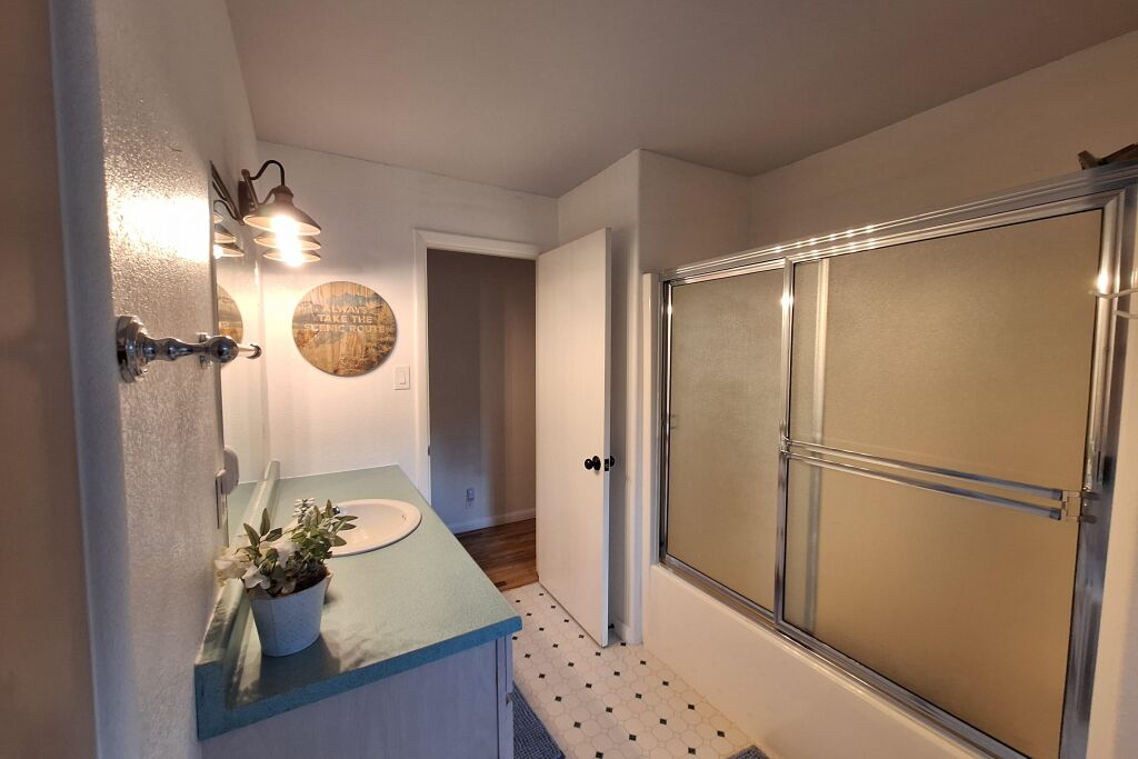 A bathroom with a sink, mirror, potted plant, and a shower enclosure.