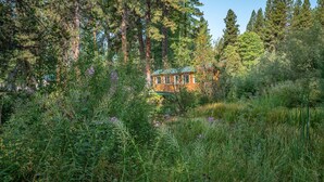 A rustic cabin surrounded by tall trees and dense vegetation. - Crater Lake Resort (Chiloquin)