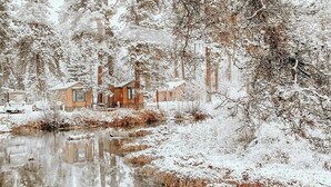 A cabin surrounded by snow-covered trees and a small pond. - Crater Lake Resort (Chiloquin)