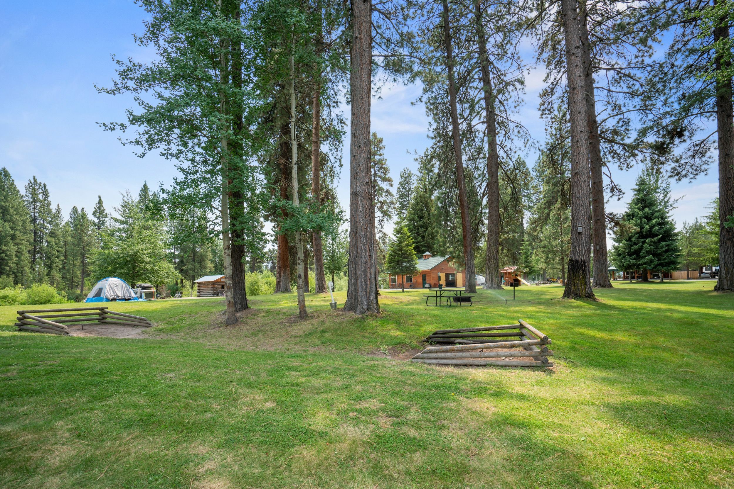 Ein Campingplatz mit Zelten, Picknicktischen und hohen Bäumen.
