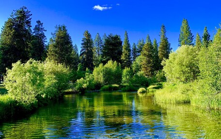A clear river with surrounding greenery and trees.