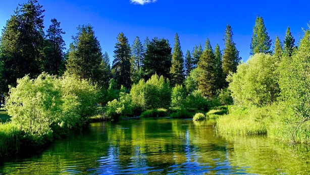 A clear river with surrounding greenery and trees. - Crater Lake Resort (Chiloquin)