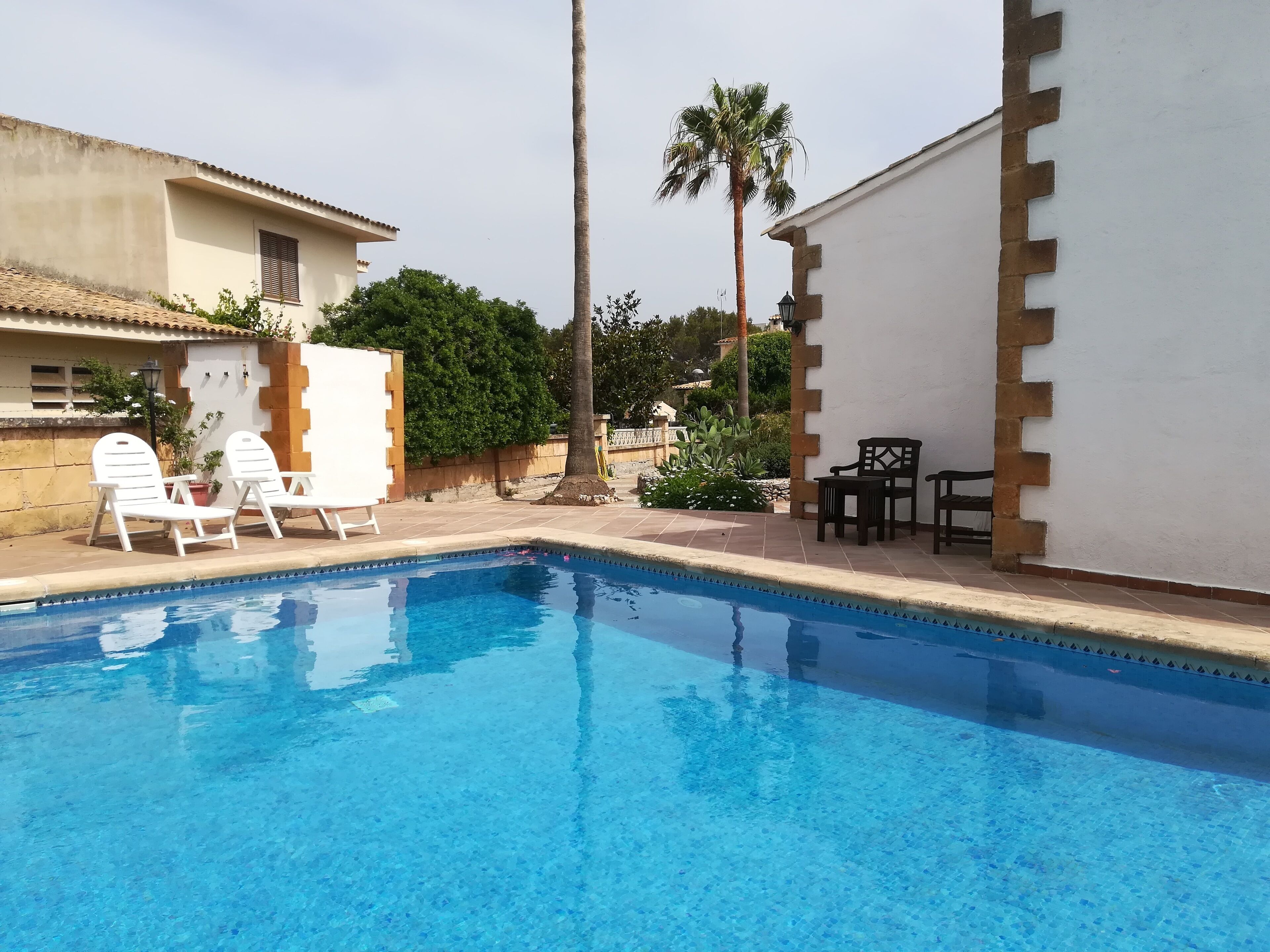 A swimming pool with clear blue water, surrounded by white walls and a few potted plants.