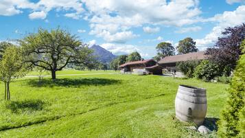 Terrein van de accommodatie