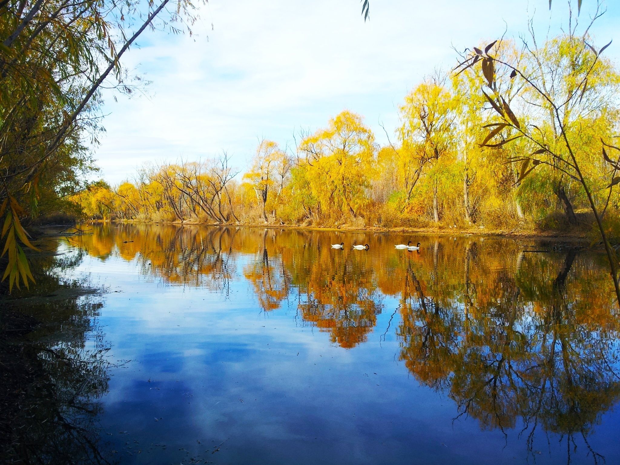 city view from property