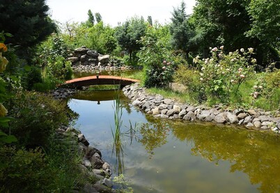 Eco Villa Gabala - Excellent garden