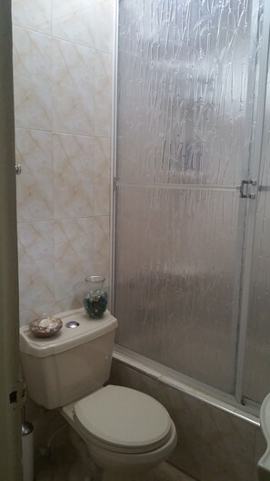 Un bany amb vàter, un petit lavabo i un cubicle de dutxa amb vidre.