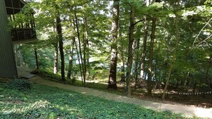 A forested area with a wooden deck and a path leading through the trees. - Scenic Setting Just 8 Minutes From Athens (Athens)