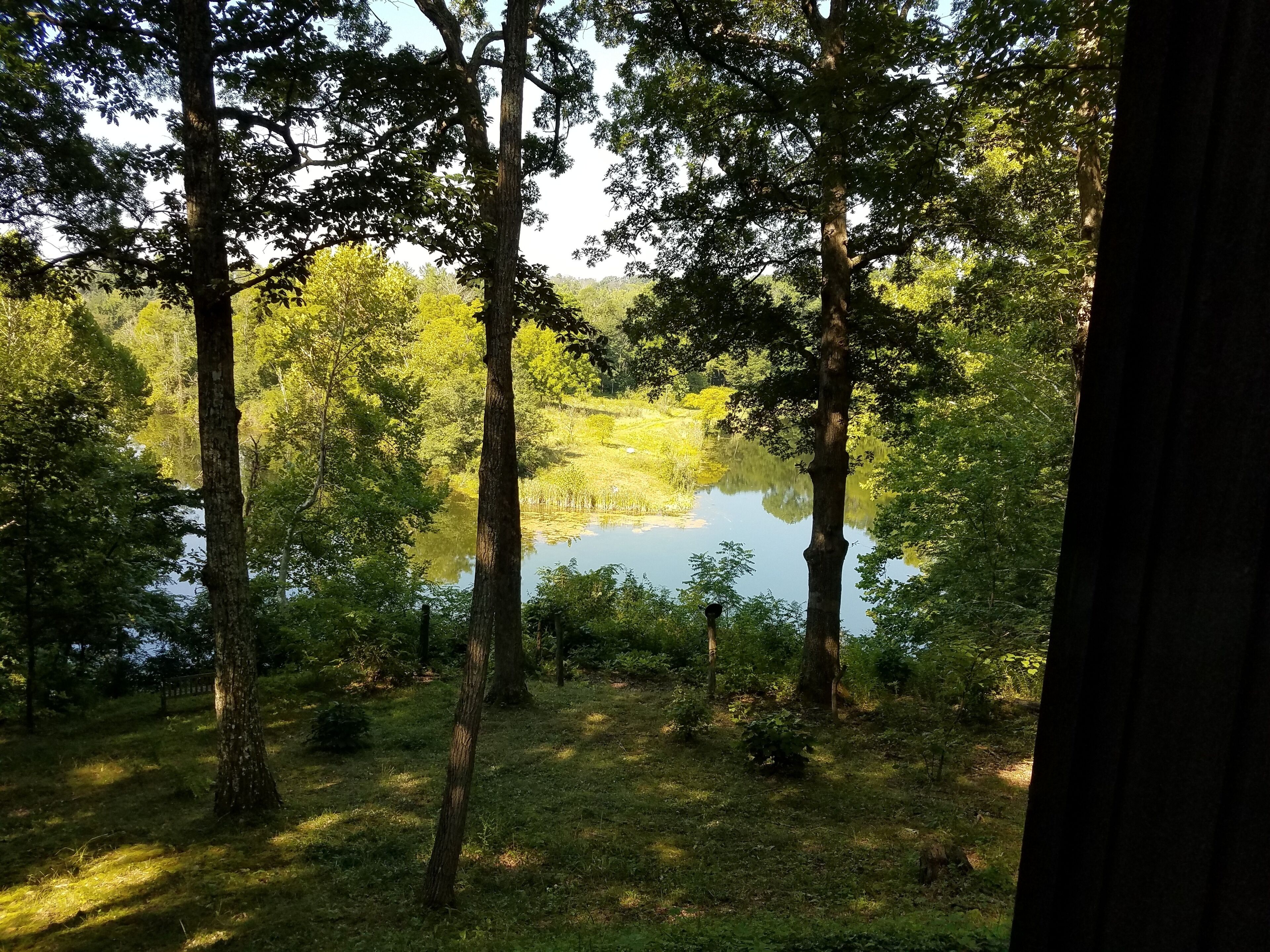 A natural landscape with a pond surrounded by trees and grass.