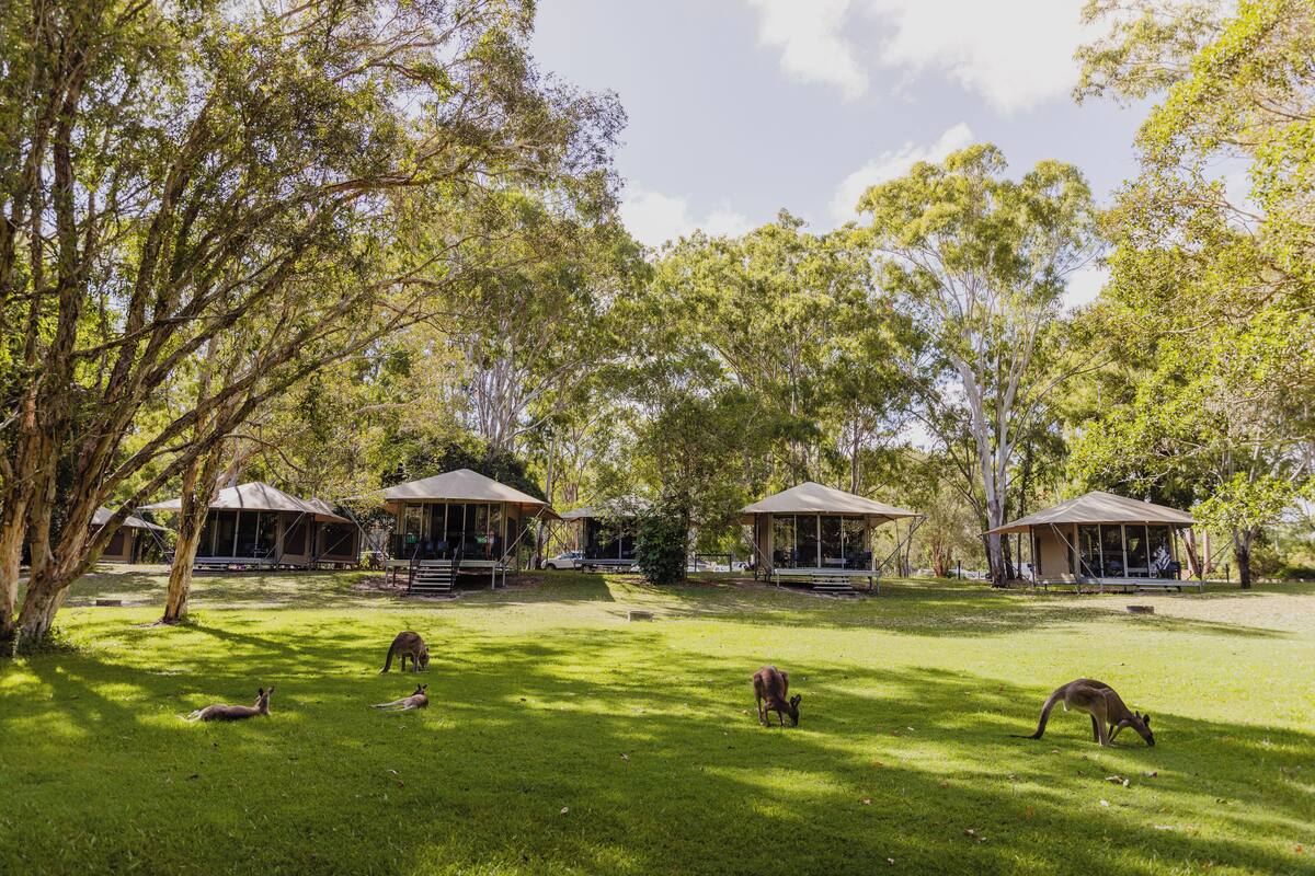 A park with picnic tables and a grassy area.