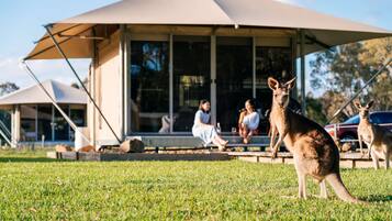 Paperbark Glamping Tent