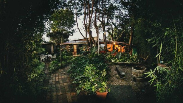 A rustic house surrounded by dense bamboo and greenery, with a paved pathway leading to a small patio area. - Mitos Hostal (Intibucá)