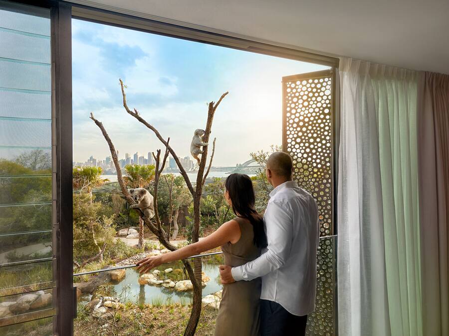 Vistas desde la habitación