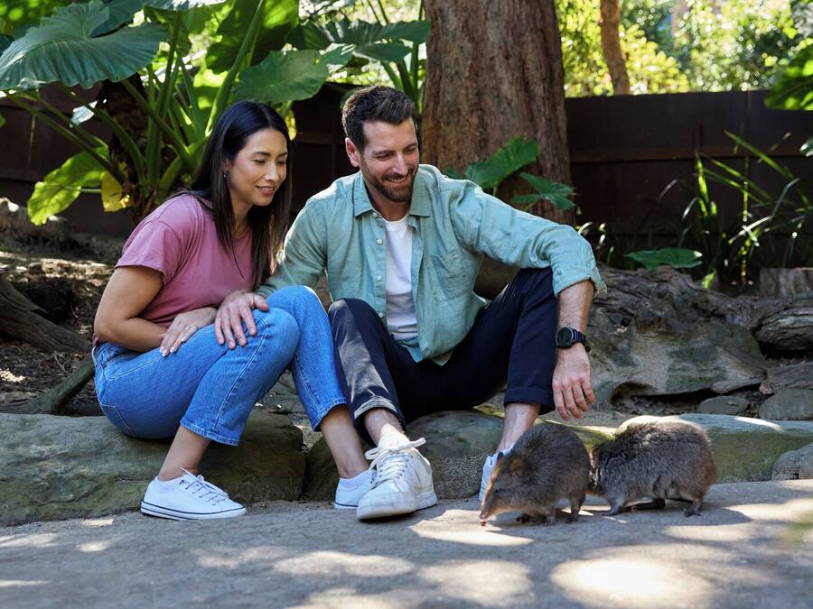 Una pareja sentada sobre rocas con dos pequeños animales cerca.