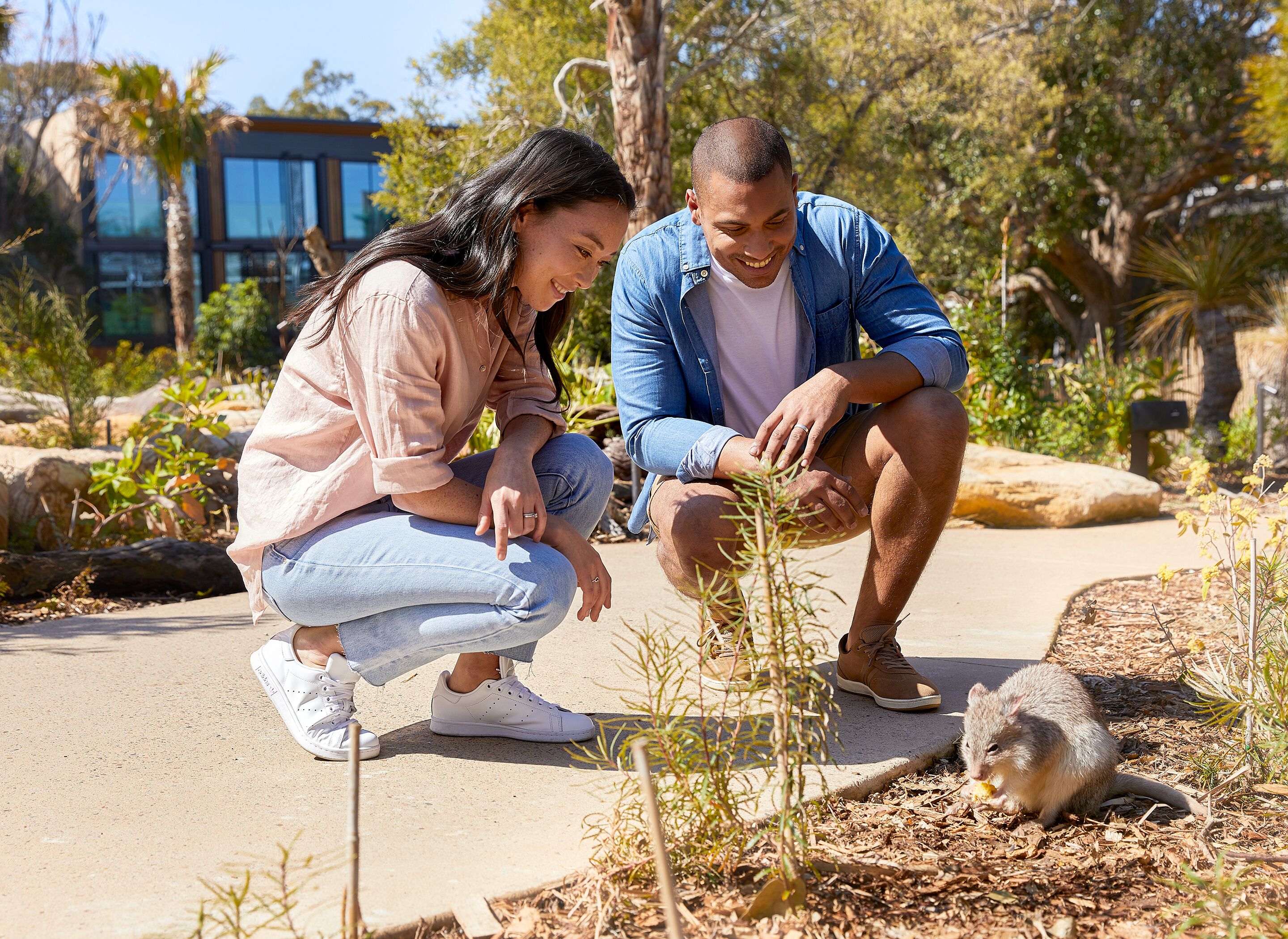 Dos personas agachadas observando a un pequeño animal en un área exterior con jardines, rocas y plantas.