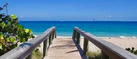 Camastros y toallas de playa