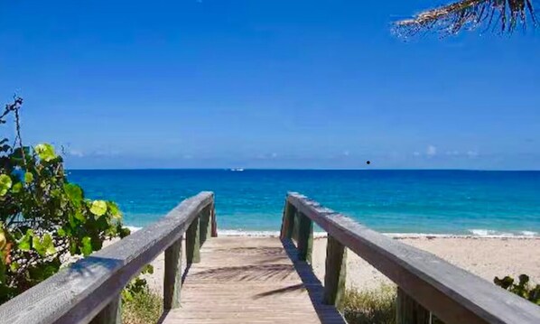 Sun-loungers, beach towels