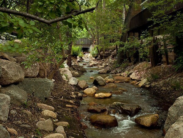 A narrow stream with rocks and trees, a wooden bridge, and a building with a sloped roof.