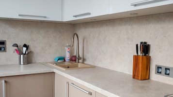 Fridge, oven, stovetop, dishwasher