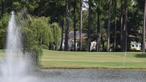 A golf course with a water feature, a putting green, and tall trees in the background.
