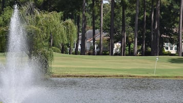 Condo, 1 Bedroom | Golf