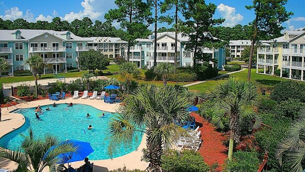 A resort with a swimming pool surrounded by palm trees and lounge chairs.
