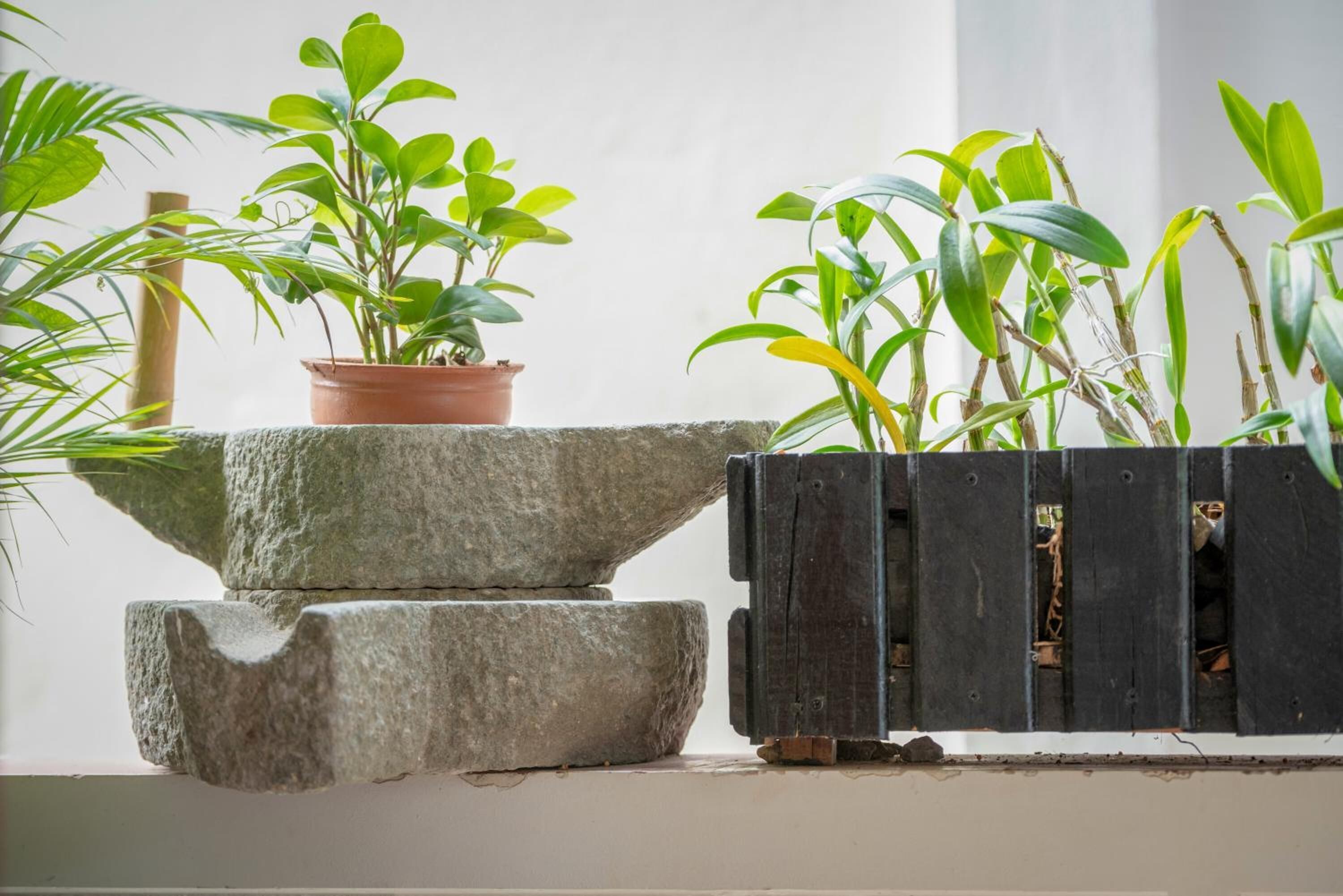 Photo - Chamraoen’s Home