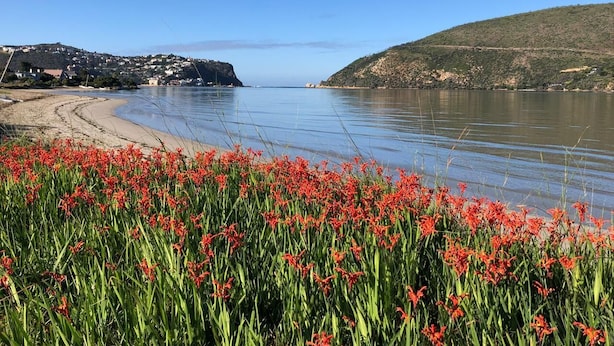 Eine Küstenlandschaft mit Sandstrand, einem Gewässer und einer Hügelkette im Hintergrund.