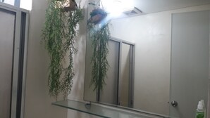 Une salle de bain avec une étagère en verre, un miroir, une plante suspendue et une bouteille de citronnelle.