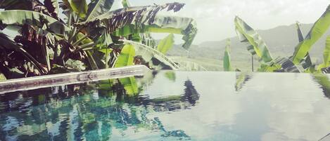 Alberca al aire libre y alberca infinita