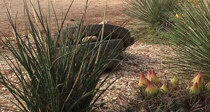 The 4V Cabin offers privacy, easy access, pet friendly.