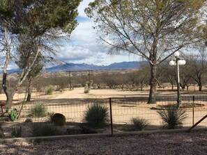 Property grounds - The 4V Cabin offers privacy, easy access, pet friendly. (St David)