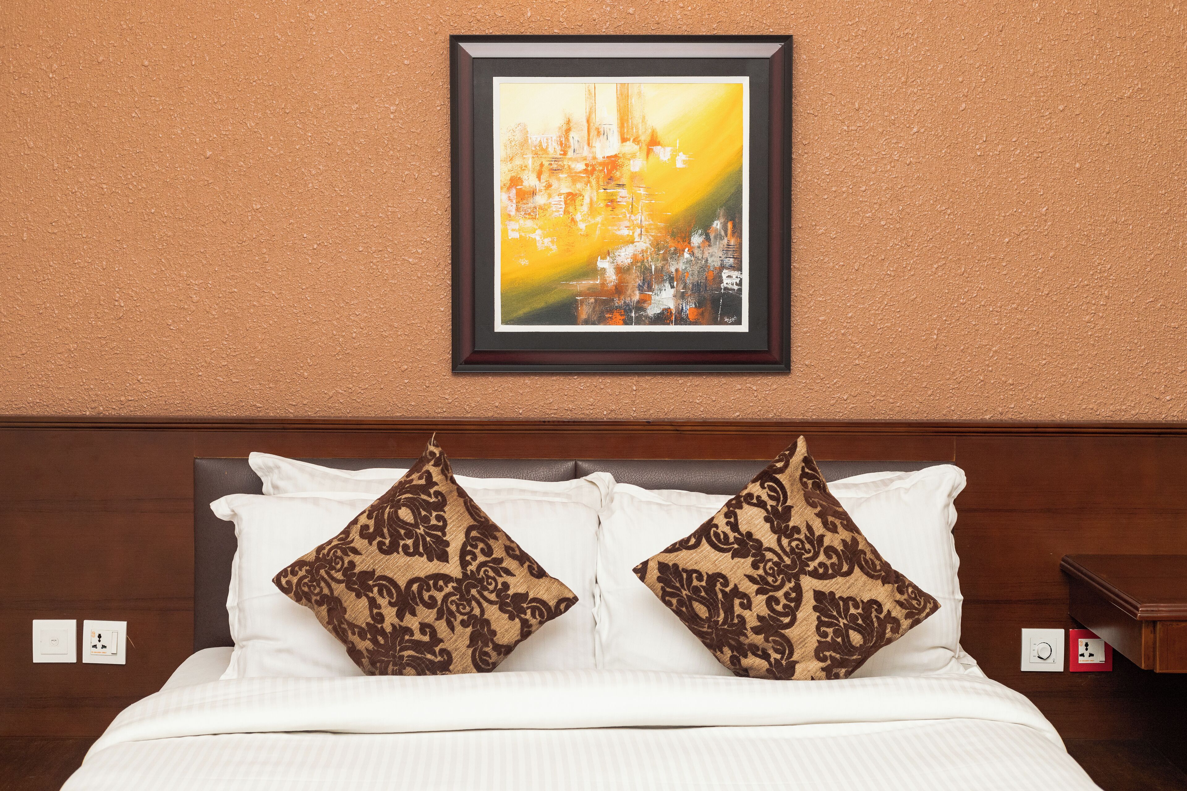 Une chambre d’hôtel avec un lit, deux coussins à motifs, une œuvre d’art encadrée au mur et une table de chevet avec une lampe.