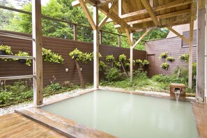 Hot springs - Hotel Hananoki (Nikko)