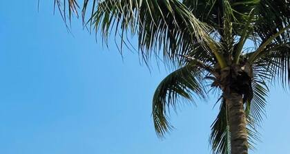 Da nang Daisy Apartment