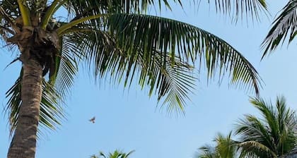 Da nang Daisy Apartment