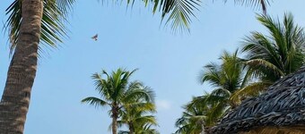 Da nang Daisy Apartment