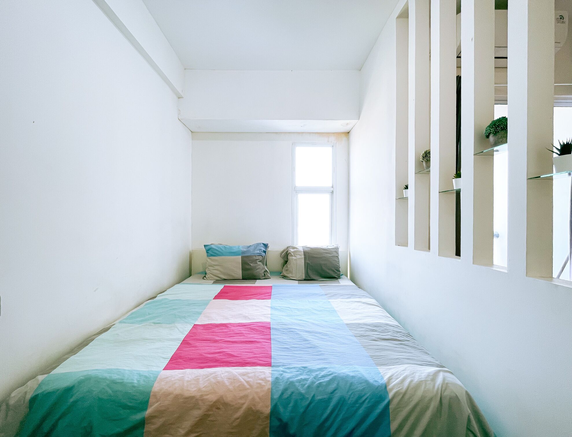 A narrow room with a bed, a window, and a shelf with plants.