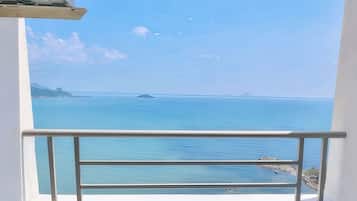 Panorama appartement, 2 slaapkamers | Balkon