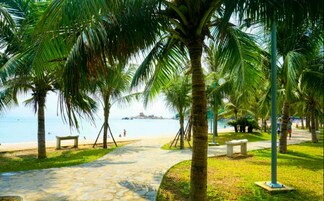 Jardim