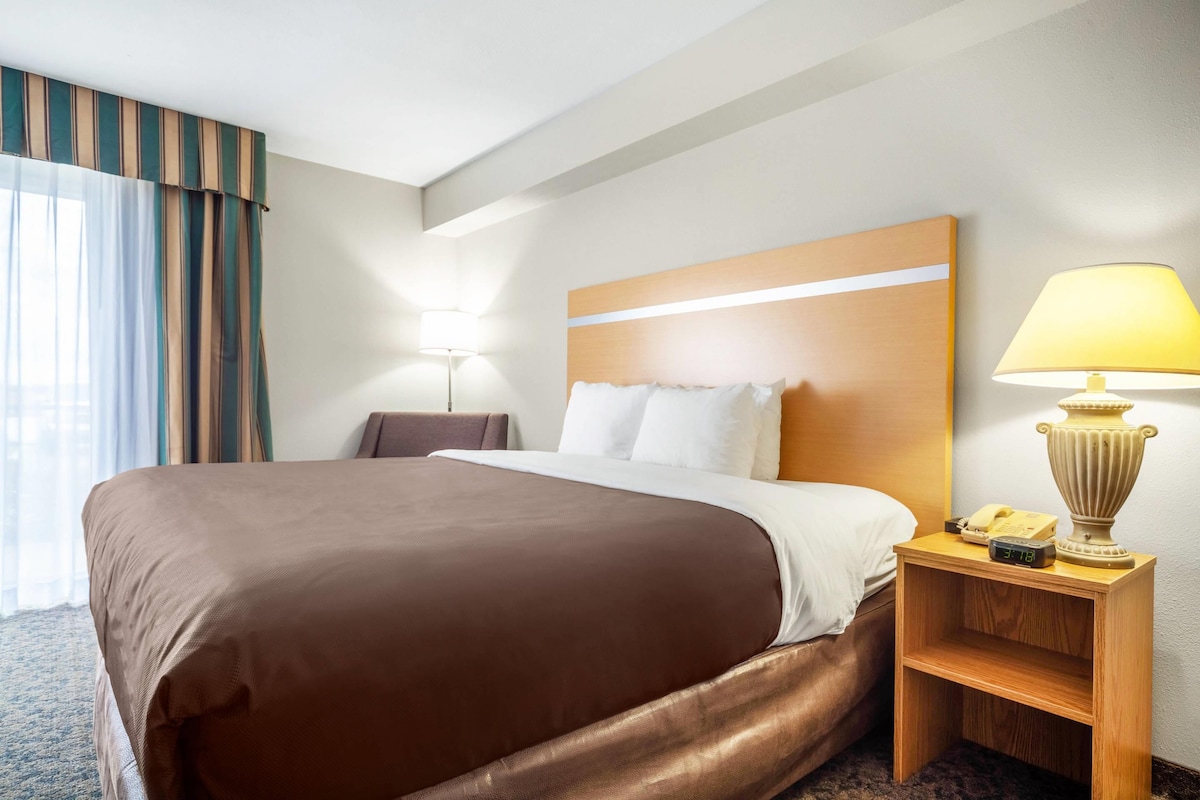 Room, 1 King Bed, Non Smoking (Efficiency)