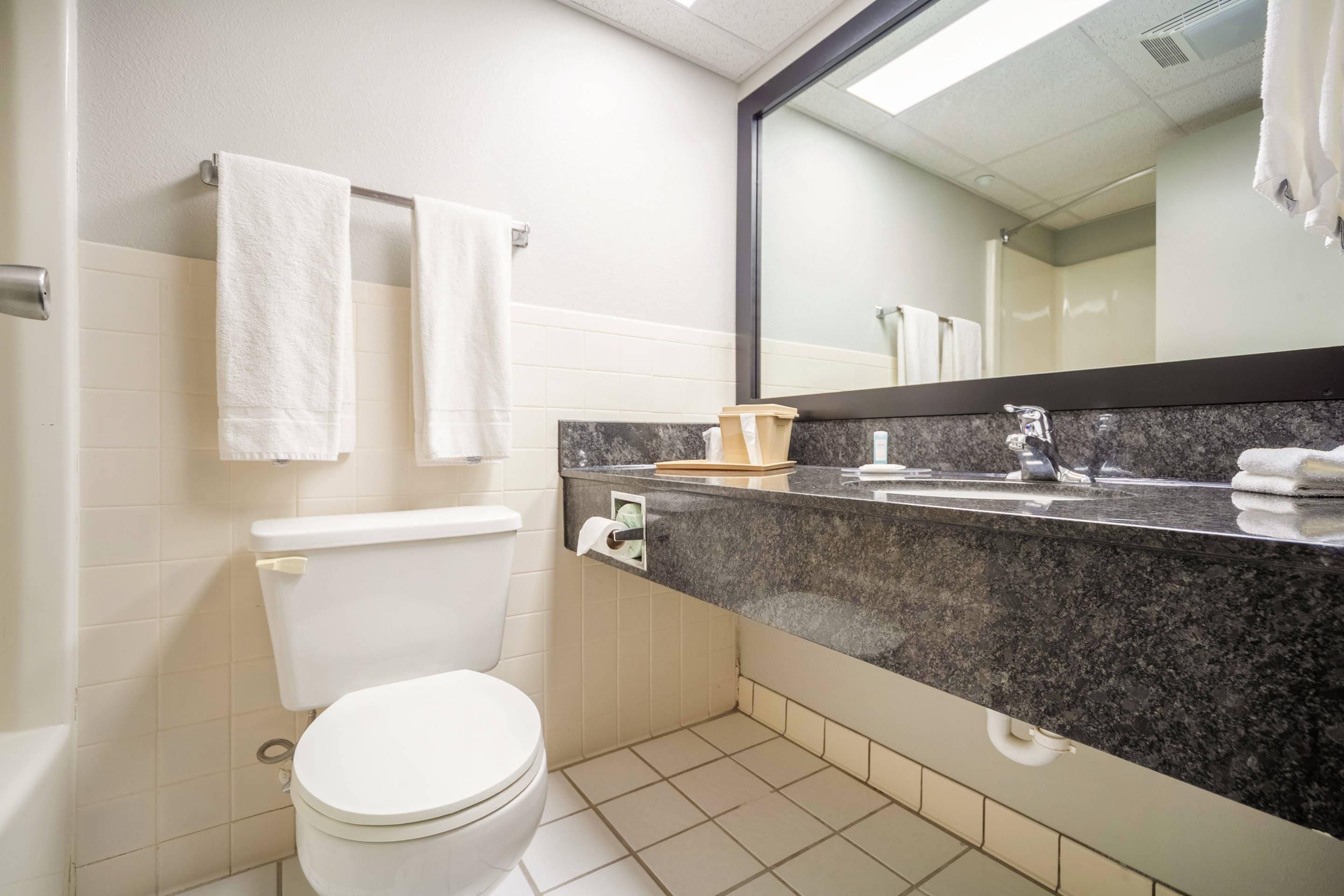 Ein Badezimmer mit Toilette, Waschbecken, Spiegel und Handtuchhalter.
