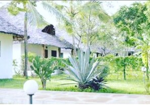 Enceinte de l’hébergement