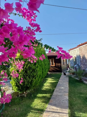 Exterior - Harmanyeri Tatilevi Selimiye (Marmaris)