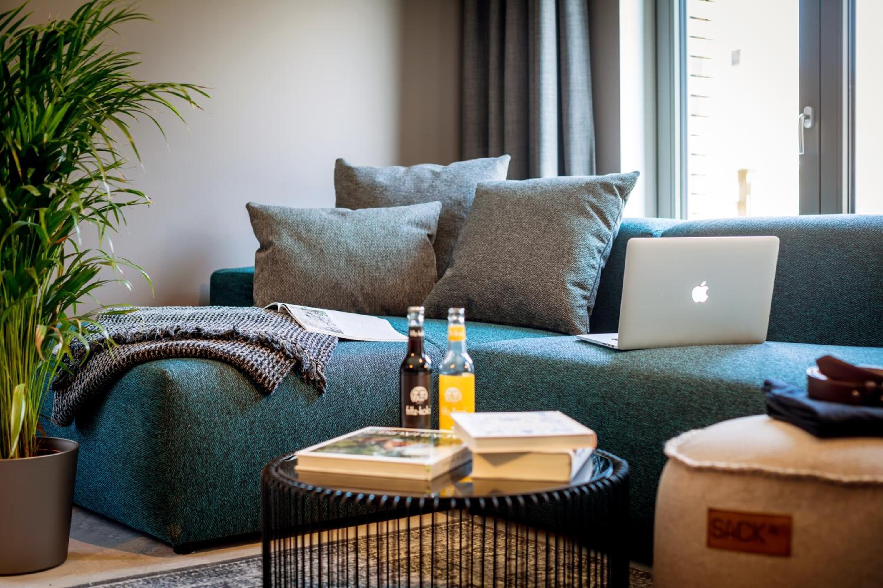Een moderne woonkamer met een blauwgroene bank, een laptop, een boek, een fles en een plant.
