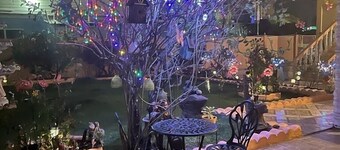 Beautiful 3 bedroom modern home