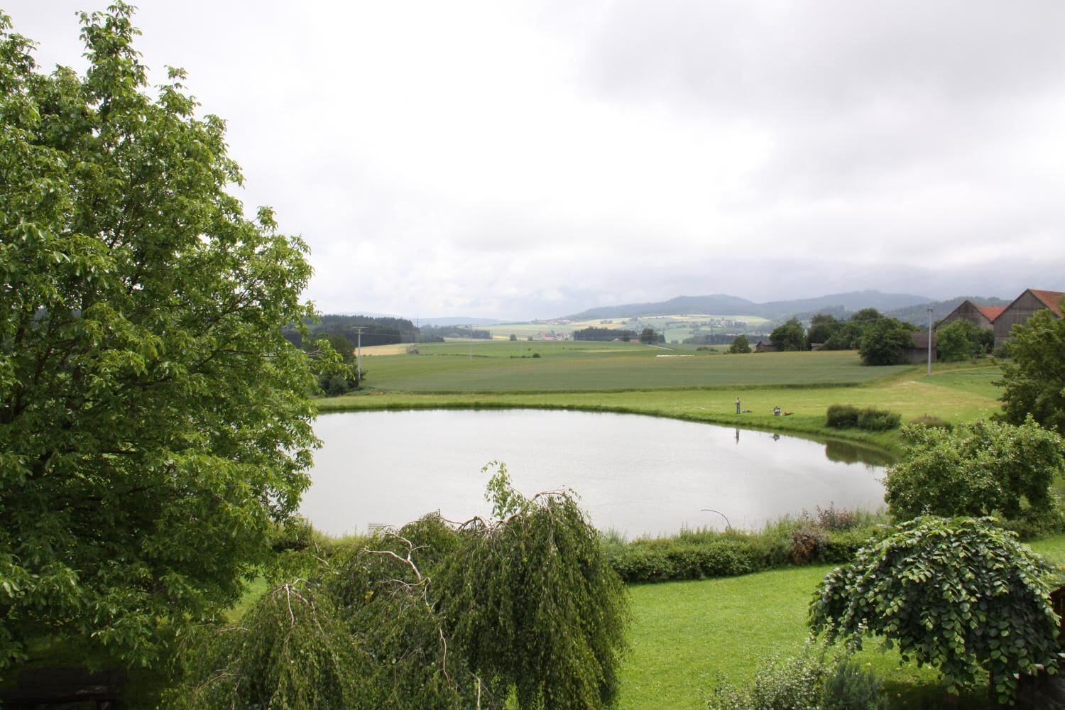 Un paisaje sereno con un estanque, abundante vegetación y colinas a lo lejos.